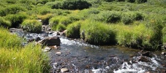 Exclusive 23-Acre Rocky Mtn. Retreat - Featured in a Music Video!  Unforgettable