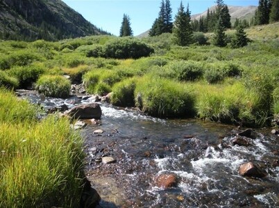 Exclusive 23-Acre Rocky Mtn. Retreat - Featured in a Music Video!  Unforgettable