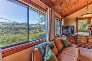 TV, video games, DVD player, books