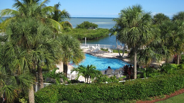 Zwembadgedeelte van een resort met palmbomen, uitzicht op de oceaan en een bruggetje dat het zwembad met het strand verbindt.