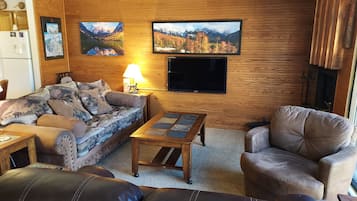 TV, fireplace, books