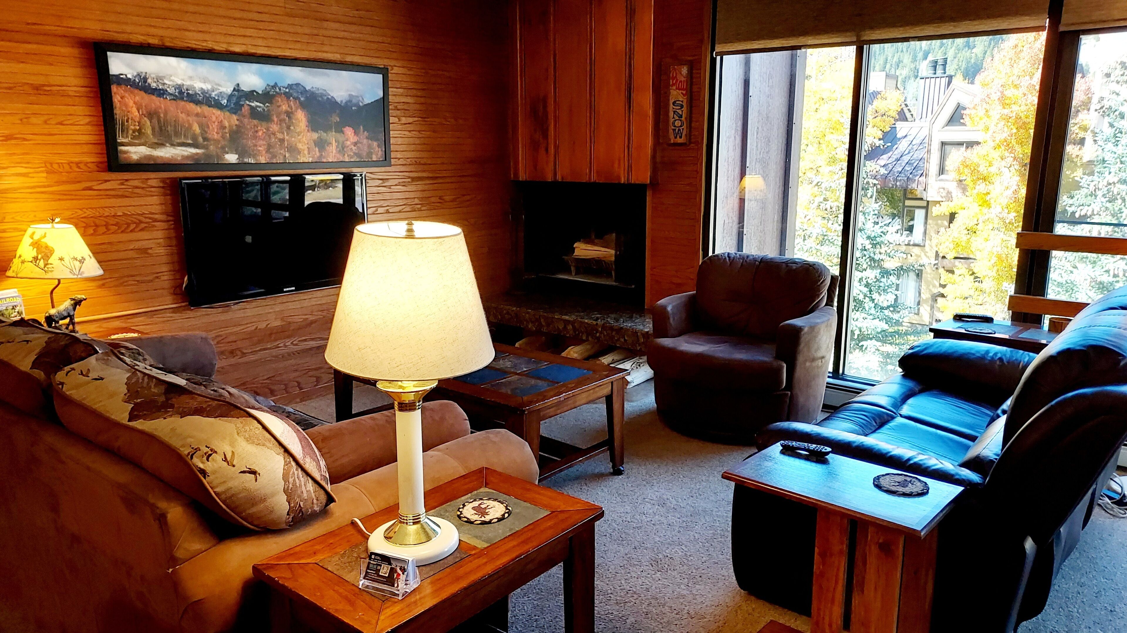 TV, fireplace, books