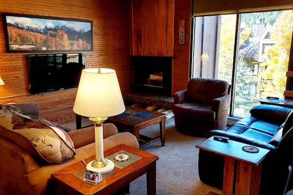 Téléviseur, foyer, livres