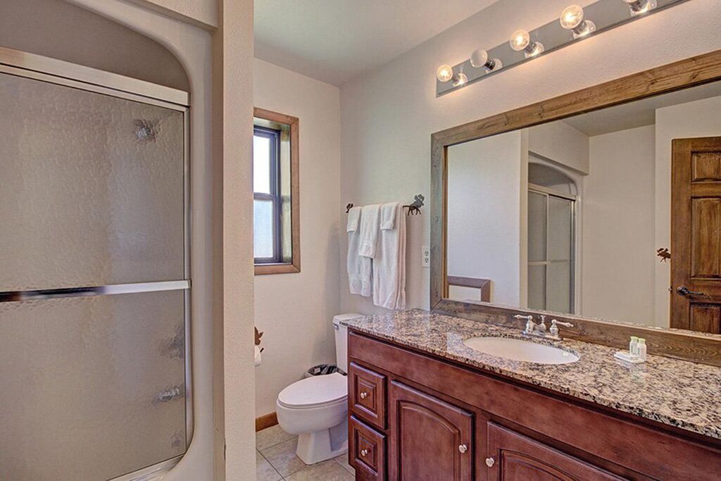 A bathroom with a shower, toilet, vanity with a sink, and a large mirror.