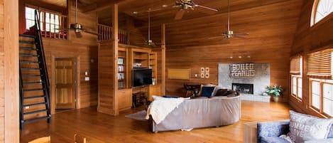 Smart TV, fireplace, DVD player, books