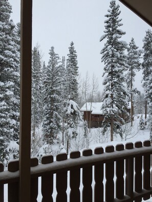 Winter view from the second story front deck