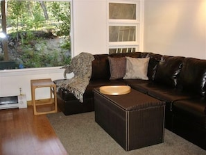 TV, fireplace, video games, DVD player