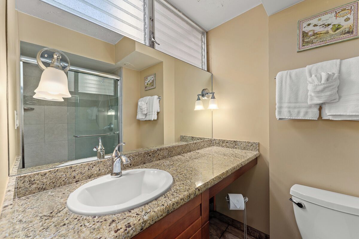 Bathtub, hair dryer, towels, soap