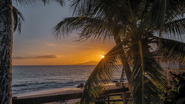 Een uitzicht op het strand met een zonsondergang, palmbomen en een houten bankje.