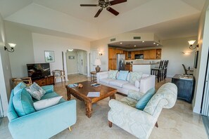 テレビ、DVD プレーヤー、ビデオライブラリ、ステレオ