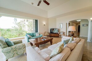 テレビ、DVD プレーヤー、ビデオライブラリ、ステレオ