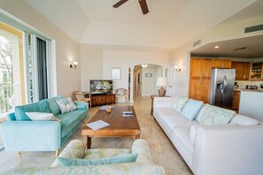 TV, DVD player, video library, stereo