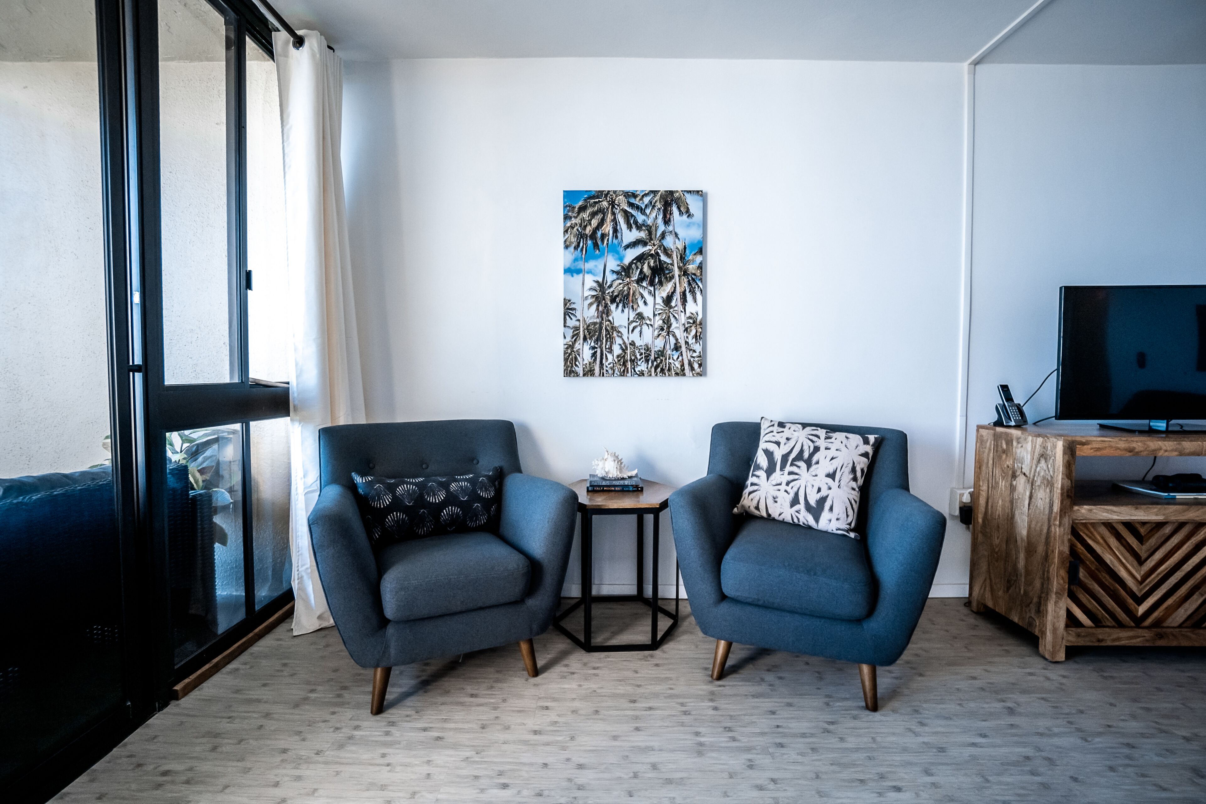 TV, DVD player, books, video library