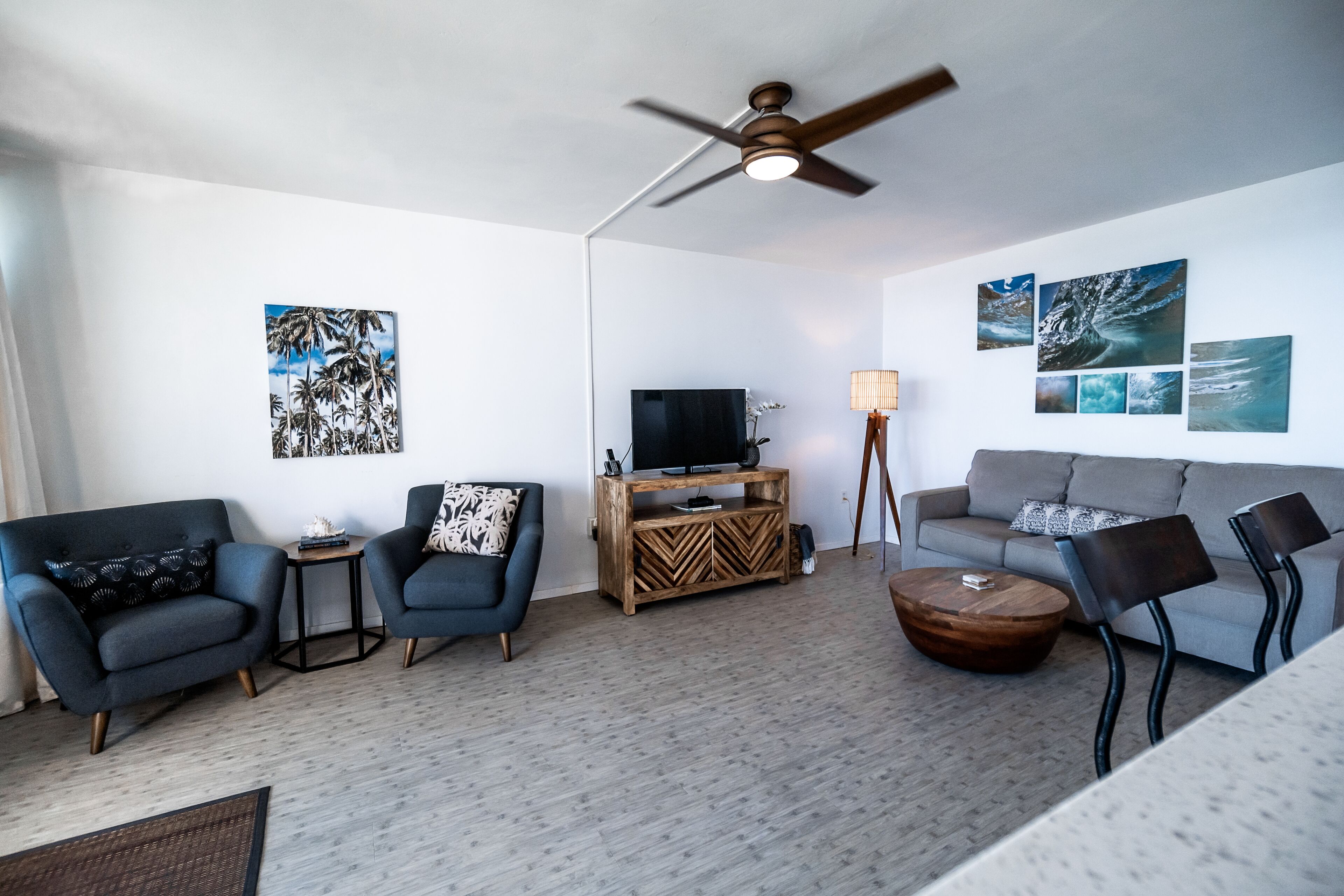 TV, DVD player, books, video library