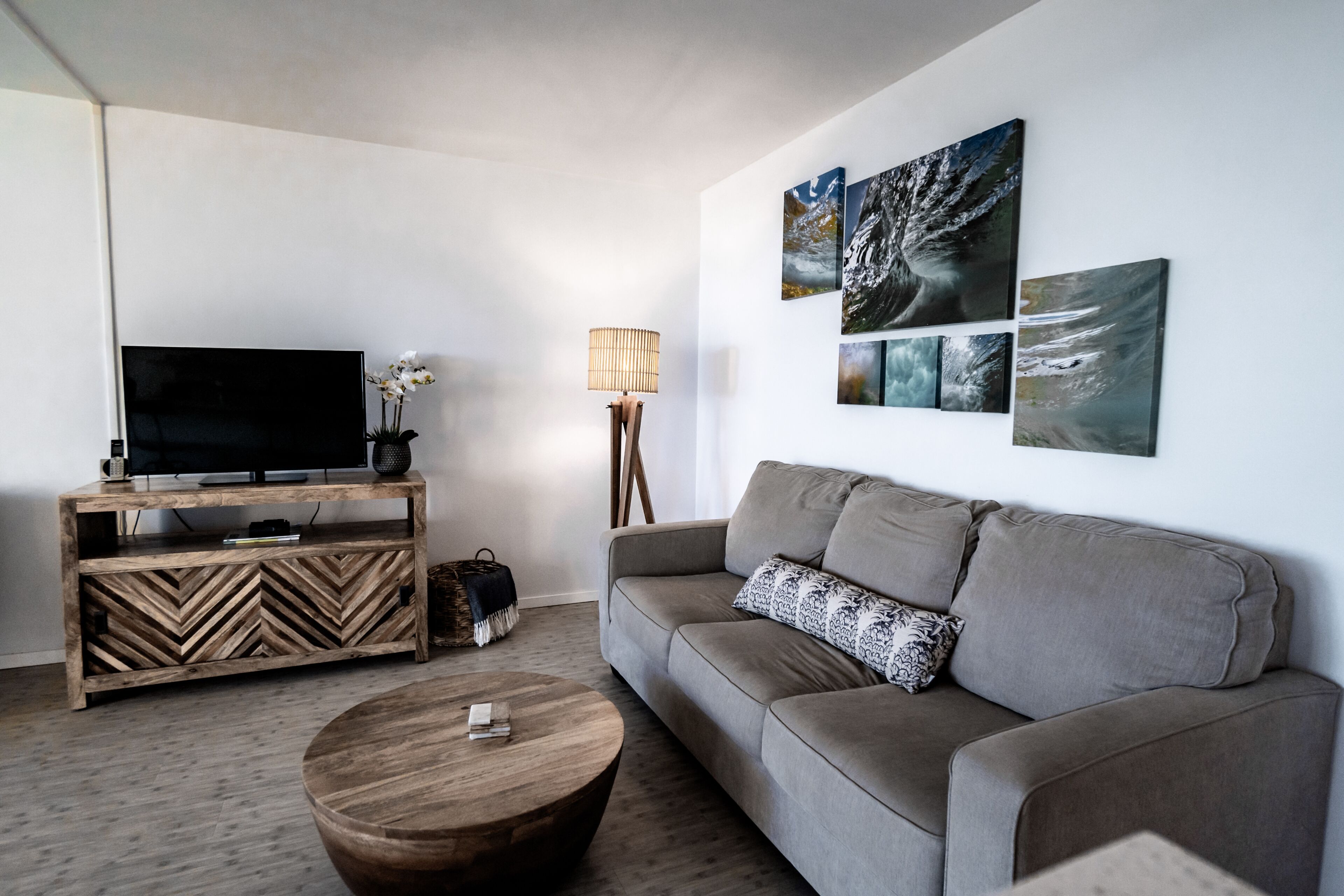 TV, DVD player, books, video library