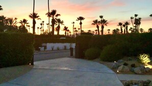 A pathway leading to a building with palm trees in the background.