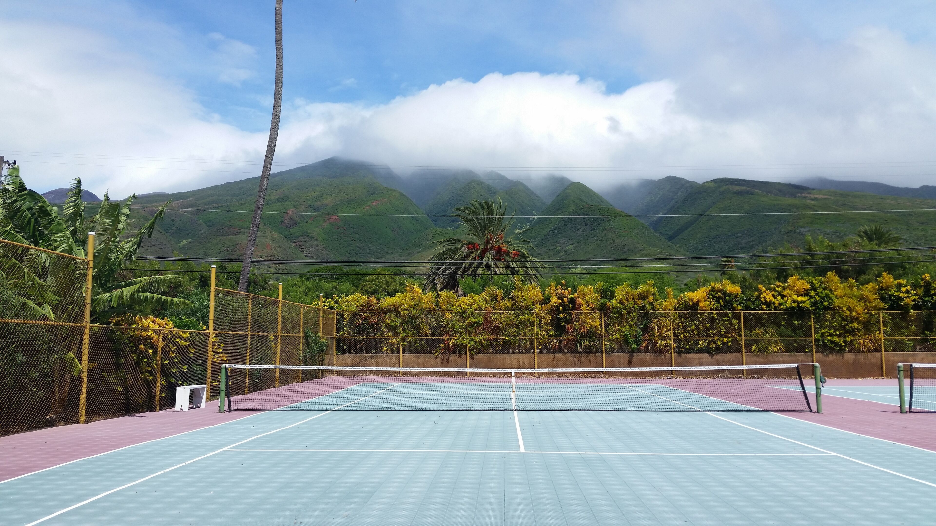 Sport court