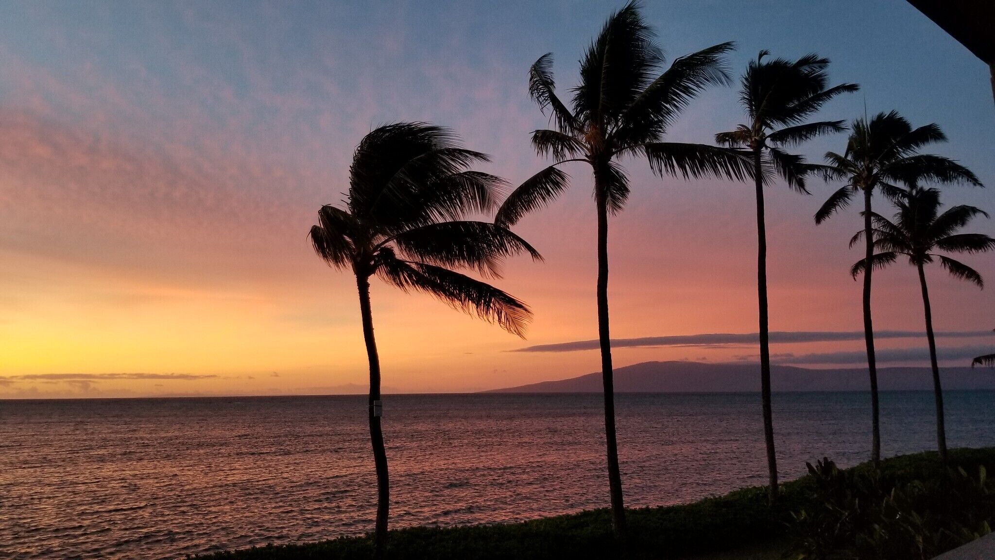 Sun loungers, beach towels