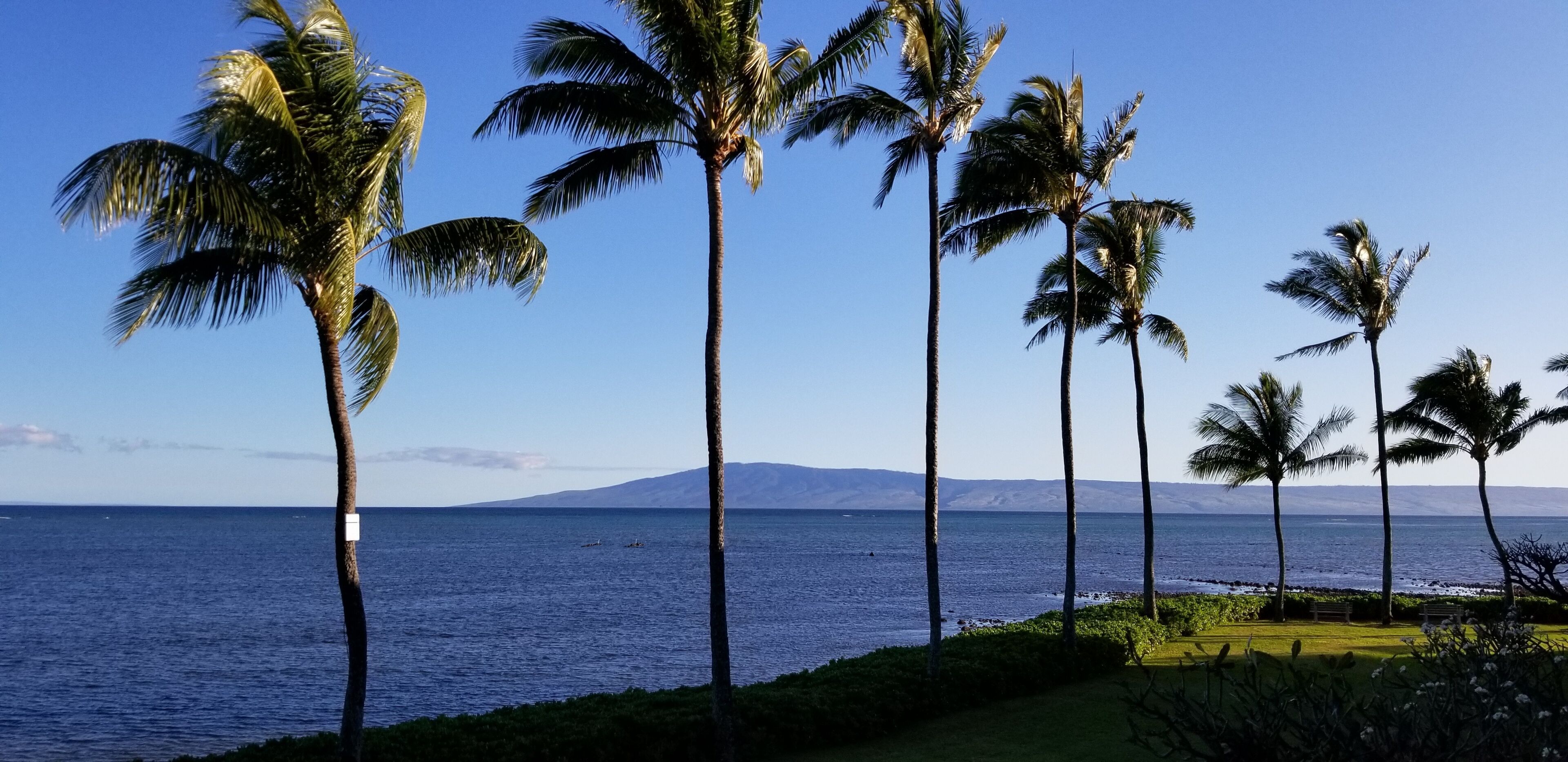 Sun loungers, beach towels