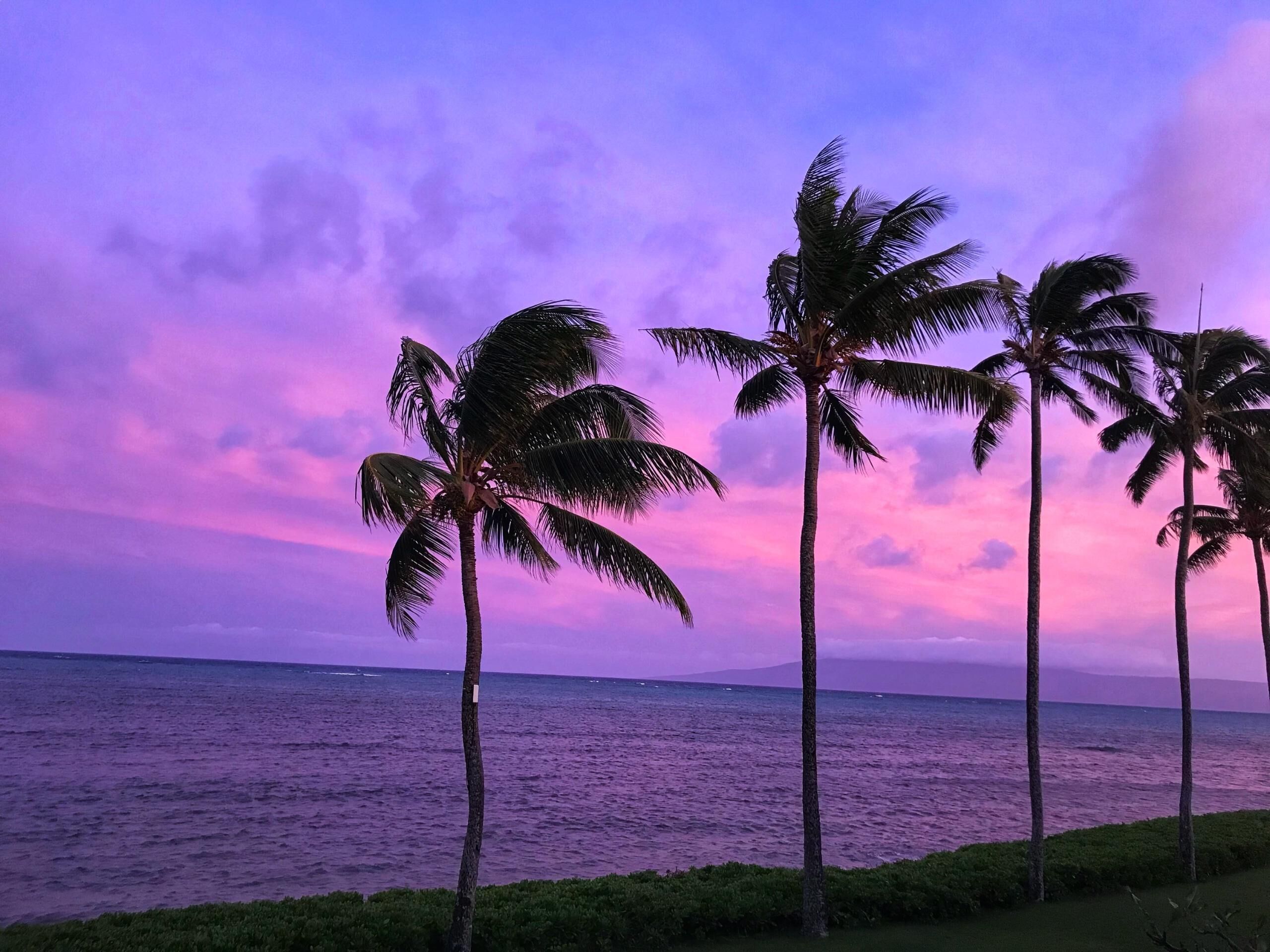 Sun loungers, beach towels