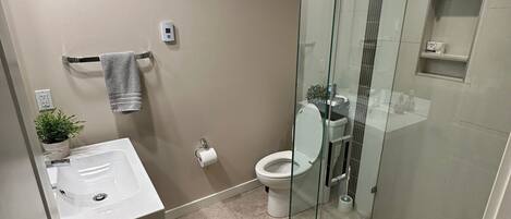 Une salle de bain moderne avec une douche à parois de verre, un lavabo et des toilettes.