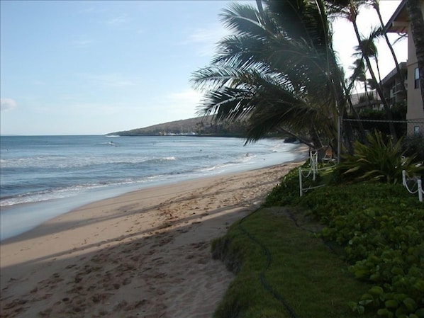 On the beach, sun loungers, beach towels