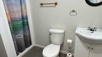 Un bagno con il water, il lavandino e una tenda per la doccia.