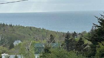 Standard Apartment | View from room