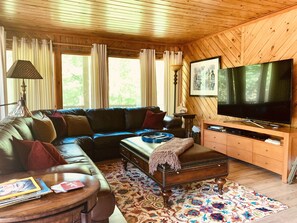 تلفزيون ذكي، مدفأة، مشغل دي في دي، كُتُب