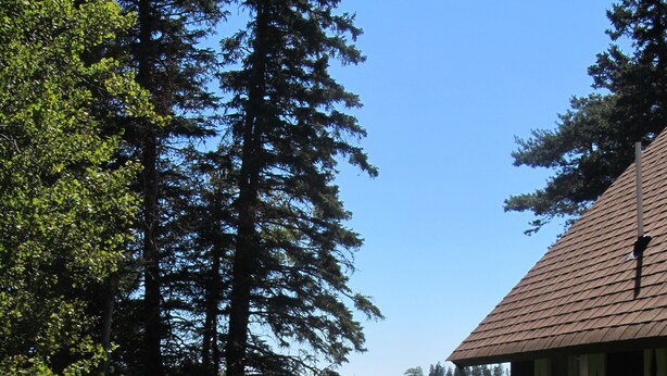 A cabin with a deck overlooking a lake, surrounded by tall trees and a grassy area. - Bass Harbor Oceanfront Chalet:  Peaceful, Private, Great On-The-Ocean View (Bass Harbor)