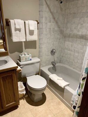 A bathroom with a toilet, sink, and bathtub. There are two towels hanging on a rack. - Ideal location, 1 Block to Ski Area, Gondola, 2 to Main St (Telluride)