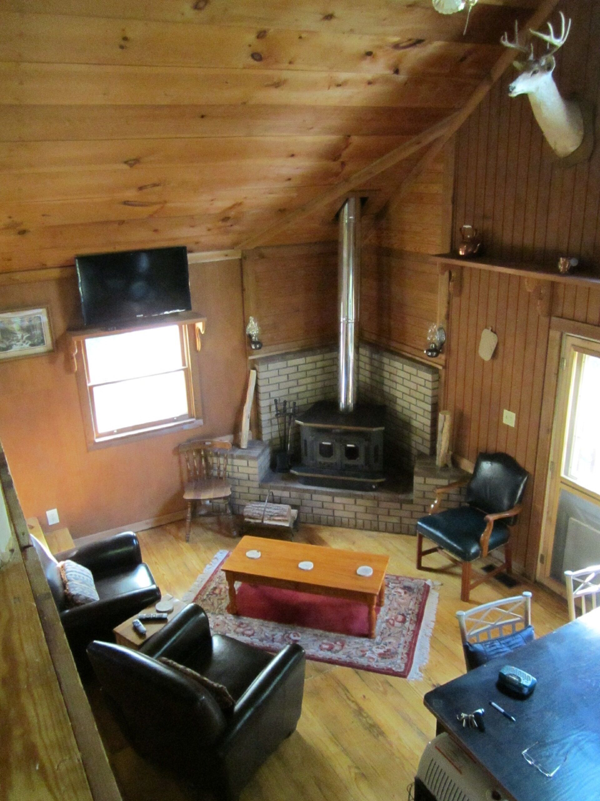 智能電視、壁爐、書籍、影像庫