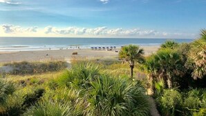 Une plage bordée de palmiers, une étendue de sable fin et un ciel dégagé.