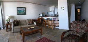 Smart TV, DVD player, books