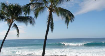 Surfers & Sunsets-Kona Reef Ocean Front Unit