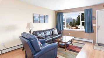 Smart-tv, dvd-spelare och böcker