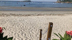 A sandy beach with a wooden pathway leading to the water, surrounded by green plants.