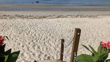 Plage, chaises longues, serviettes de plage