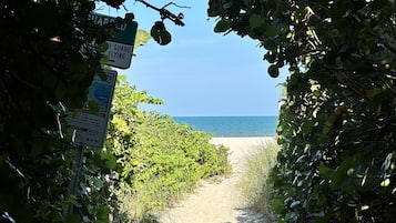 Plage, chaises longues, serviettes de plage