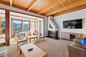 Smart TV, fireplace, books