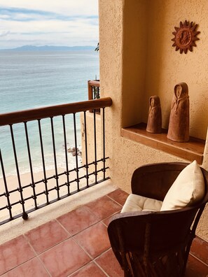 Property grounds - Beachfront Condo in Puerto Vallarta - Los Palmares (Puerto Vallarta)