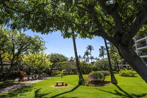 A well-maintained garden with a pathway, a bench, and palm trees. - Quiet Kihei 4th Floor Condo Hawaiian Decor Cal King Lanai Ocean Views Pool (Kihei)