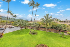 A well-maintained lawn with palm trees, a road with cars, and a building in the background.