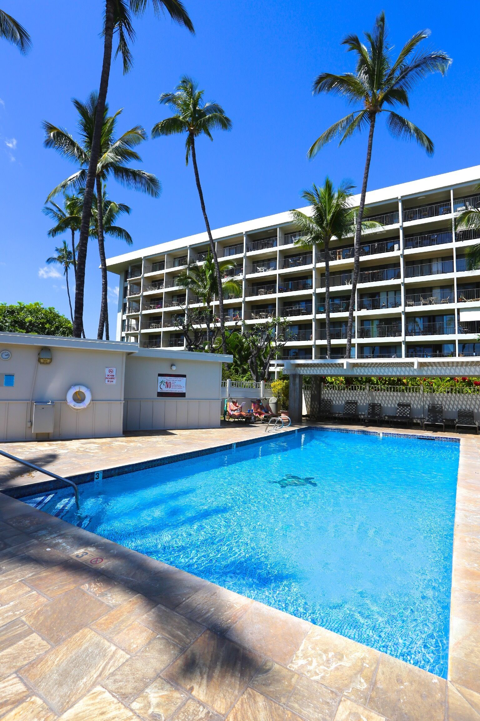 Un hôtel doté d’une piscine, de palmiers et surplombant un ciel bleu azur.