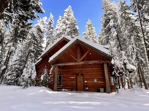 A log cabin surrounded by snow-covered trees.