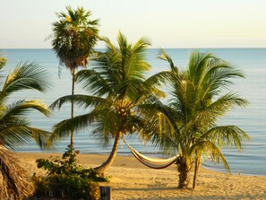 Plage, chaises longues, serviettes de plage