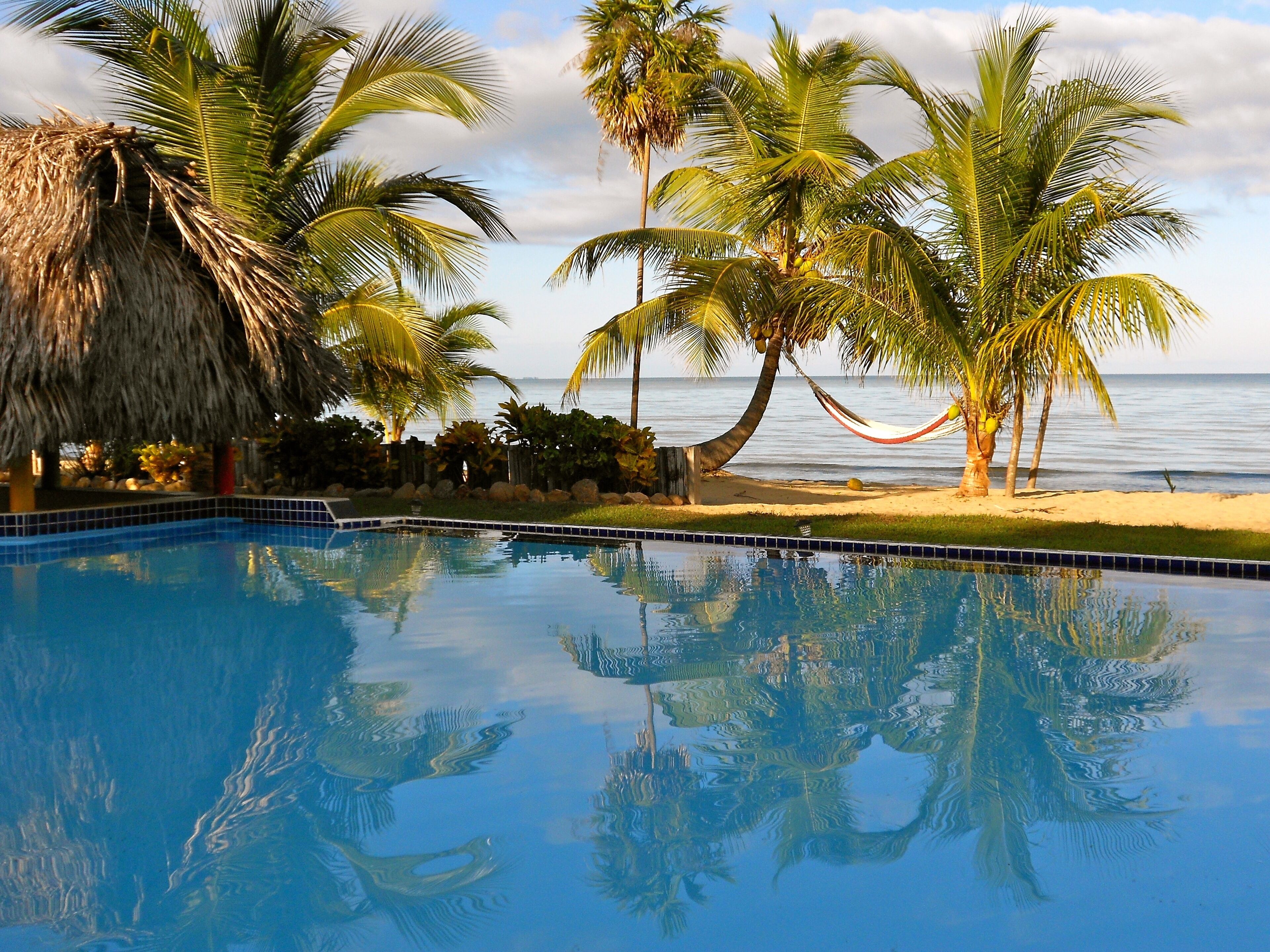 Swim in the Pool, Swim in the Sea or Read in the Shade of the Coconut Trees