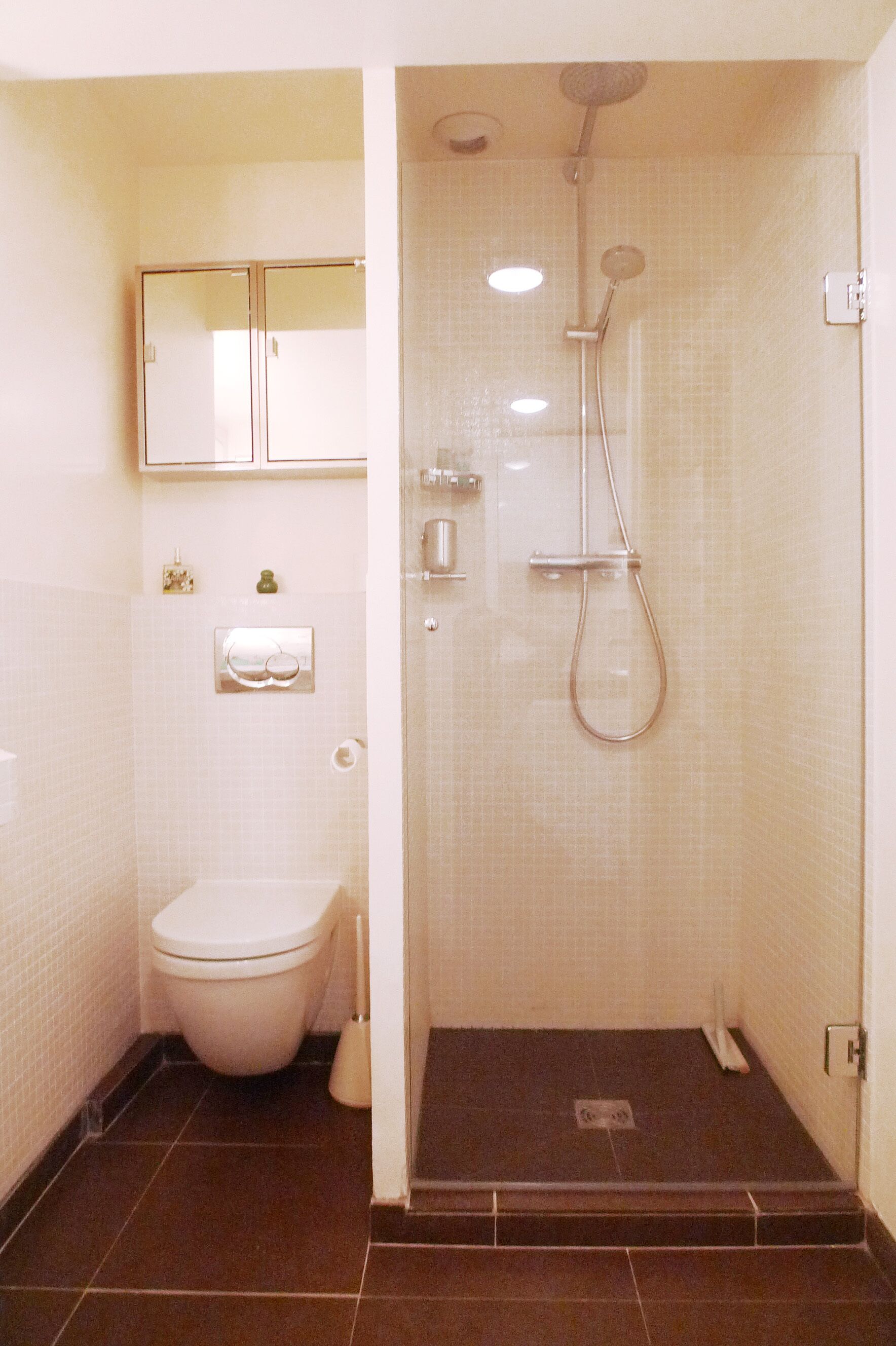 A bathroom with a toilet, a shower, and a mirror.
