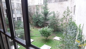 Vista a través de una ventana que muestra un patio con un árbol pequeño, arbustos y un edificio al fondo.