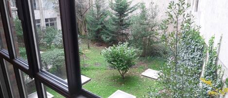 A view through a window of a courtyard with a small tree, a bush, and a building in the background.